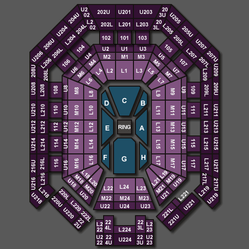 Las Vegas MGM Grand Garden Arena venue information, event listings